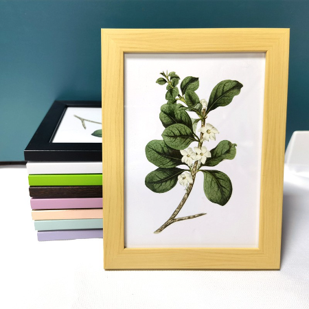 Kunataruma Hiasan Dinding Bingkai Foto