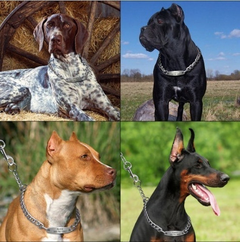 Personalized Dog Chain Name Tag 3