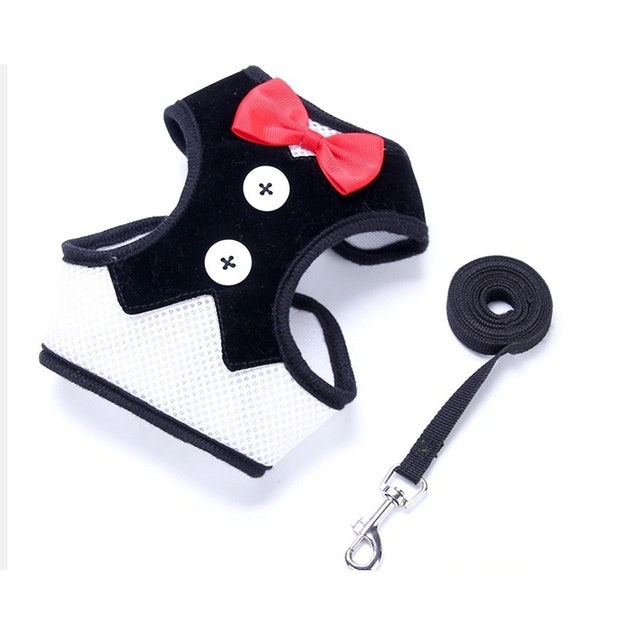  Tuxedo Harness untuk Anjing