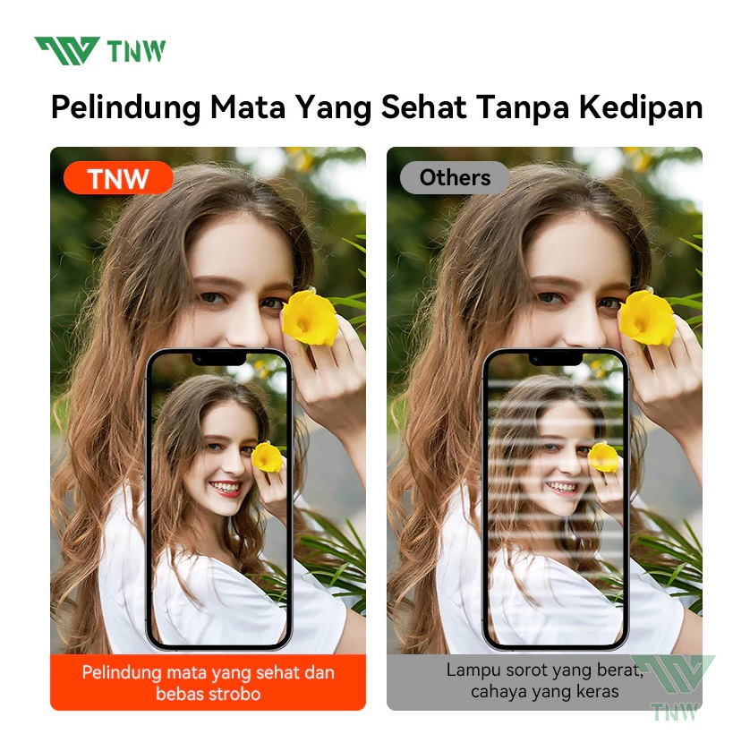 TNW Softbox Lighting  5070