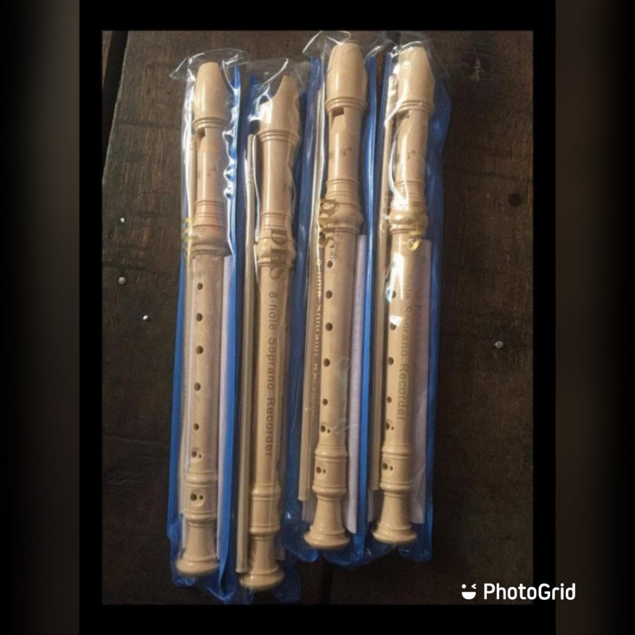 DHS 8-Hole Soprano Plastic Recorder 3