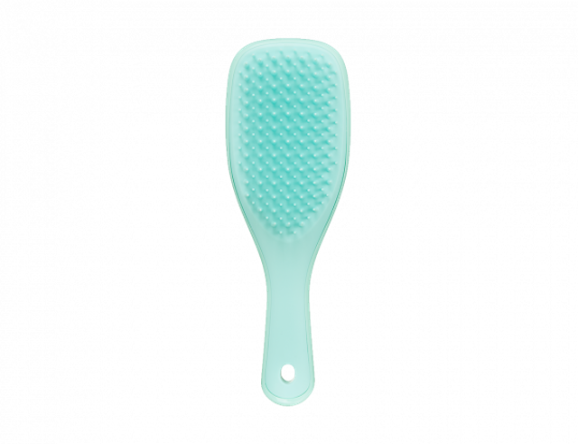 The Wet Detangler Mini Size