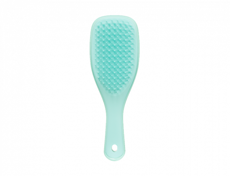 The Wet Detangler Mini Size 2