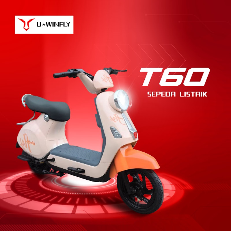 Uwinfly Sepeda Listrik 4