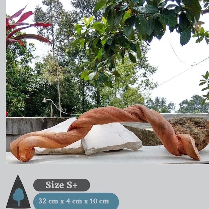 Kayu Santigi Aesthetic Size S 3