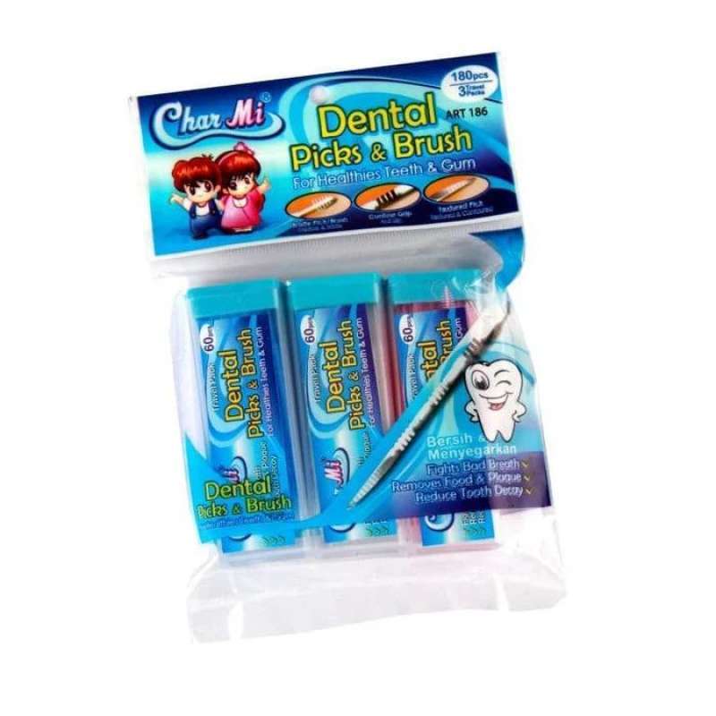Dental Picks & Brush