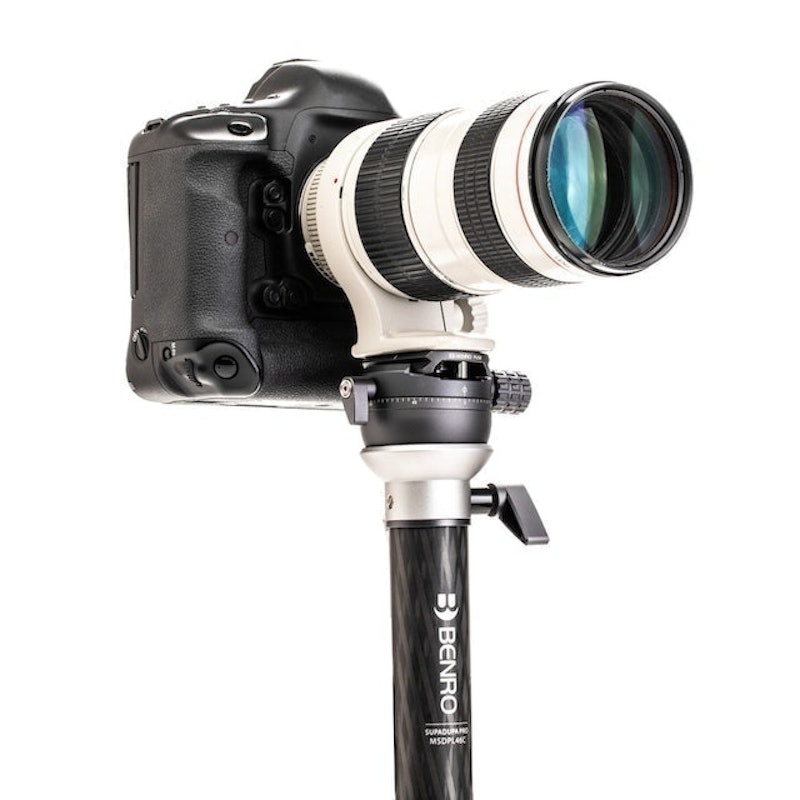 MSDPL46C SupaDupa Monopod 3
