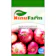 Ninufarm Benih Bawang Merah 1