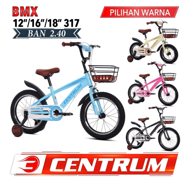  Centrum Sepeda Anak CTR 317