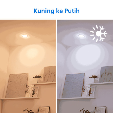 Philips Electronics Nederland B.V. Philips Smart Wifi LED Downlight 4W Tunable White