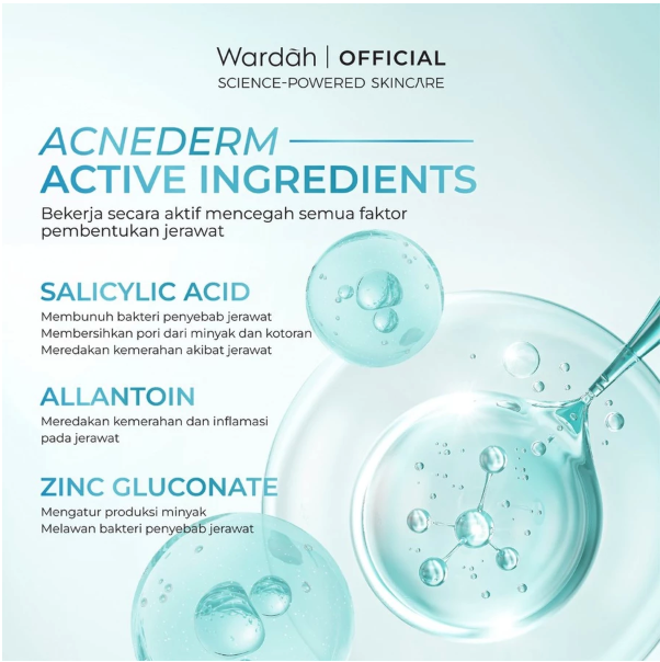 Paragon Technology and Innovation Wardah Acnederm Salicylic Acid Zinc Acne Clearing Low pH Foaming Cleanser