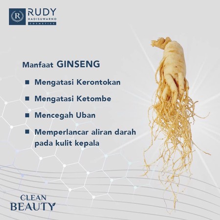 Martina Berto Rudy Hadisuwarno Hairloss Solution Shampoo