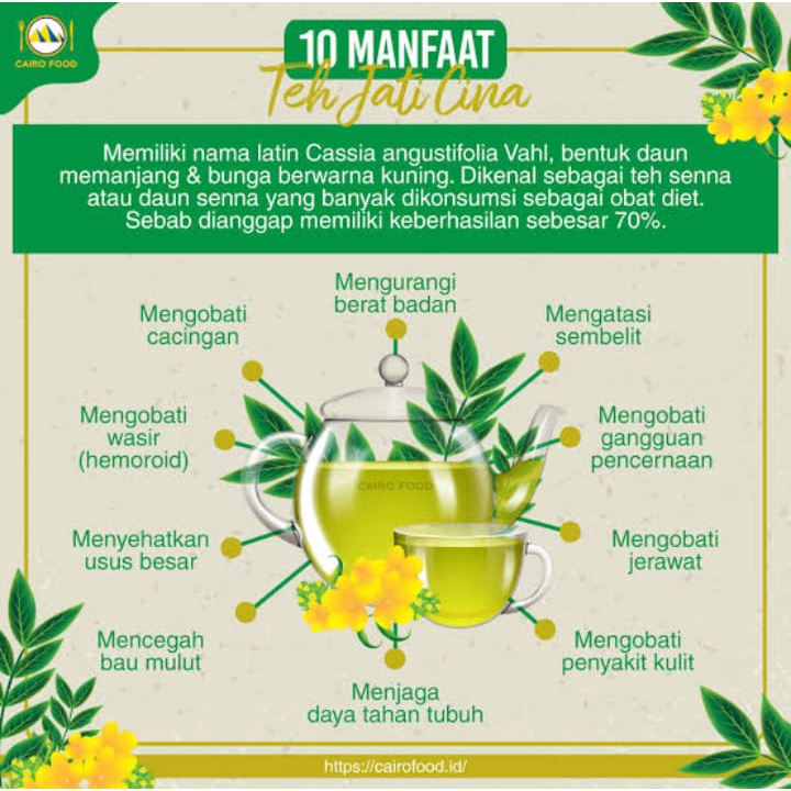 Elif Senna Leaf Tea 4