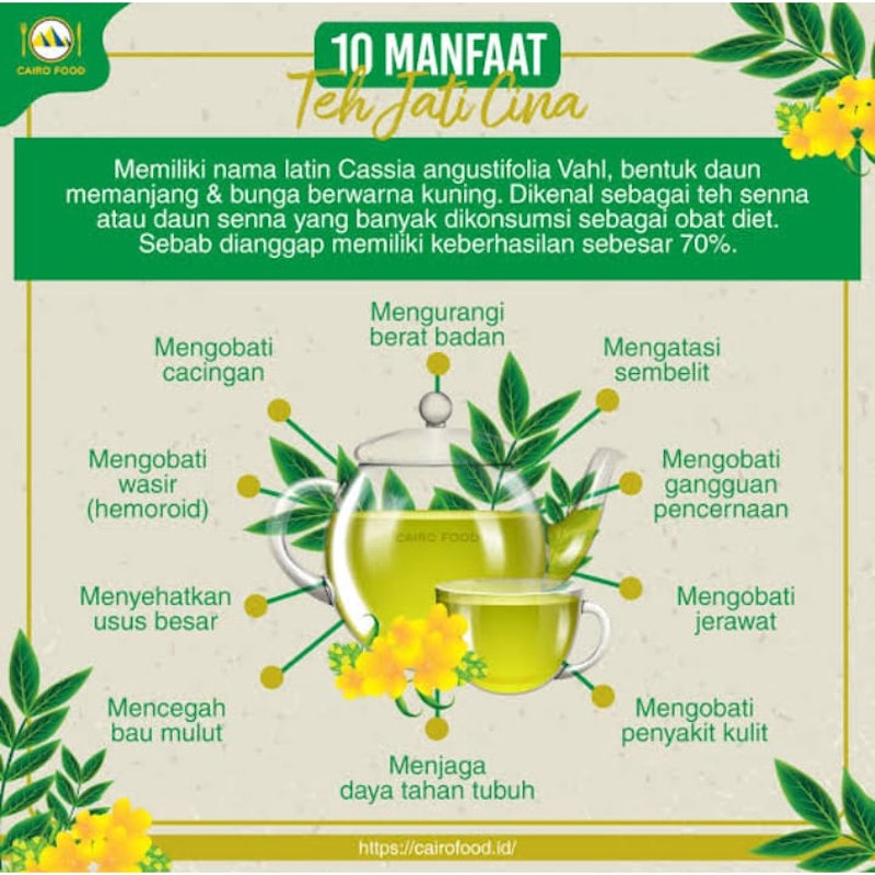 Elif Senna Leaf Tea 4