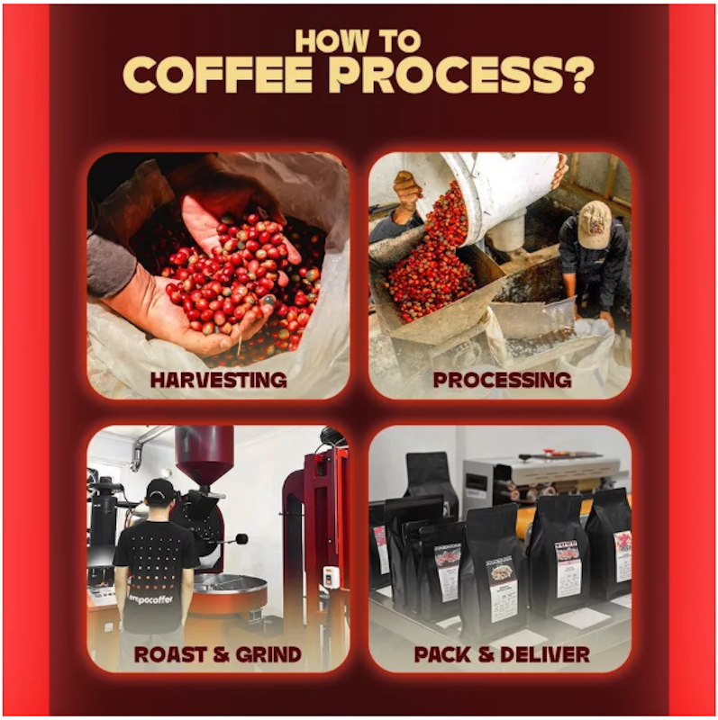 Empo Coffee Coffee Drip Bag Arabica Gayo 4