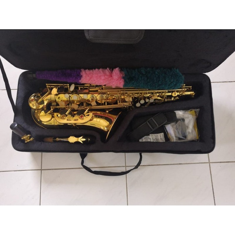 Alto Saxophone 2