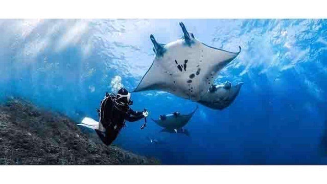 3 Day 2 Night Nusa Penida Tour 1