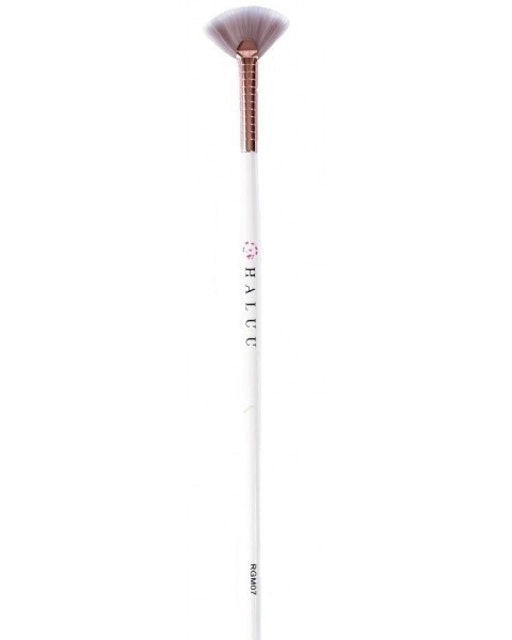 Deluxe Mini Fan Brush 1