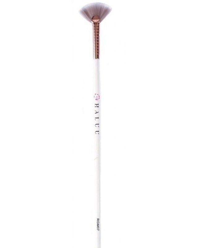Deluxe Mini Fan Brush 1