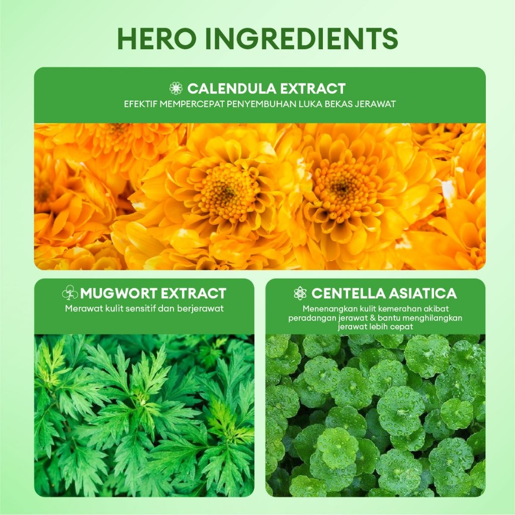 Pesona Estetika Internasional Animate Intense Acne Solution Night Cream