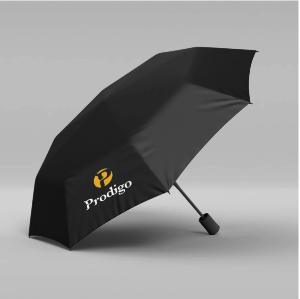 Pemuda Harapan Bangsa Prodigo Bidara Payung Lipat