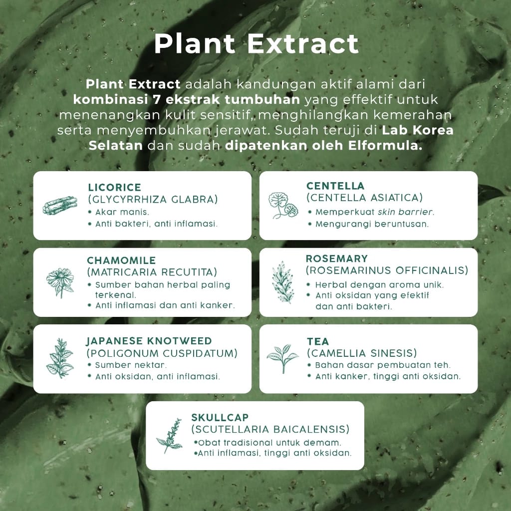 Shanghai Ayara Cosmetics ELFORMULA Intensive Pore Clarifying Mugwort Mask