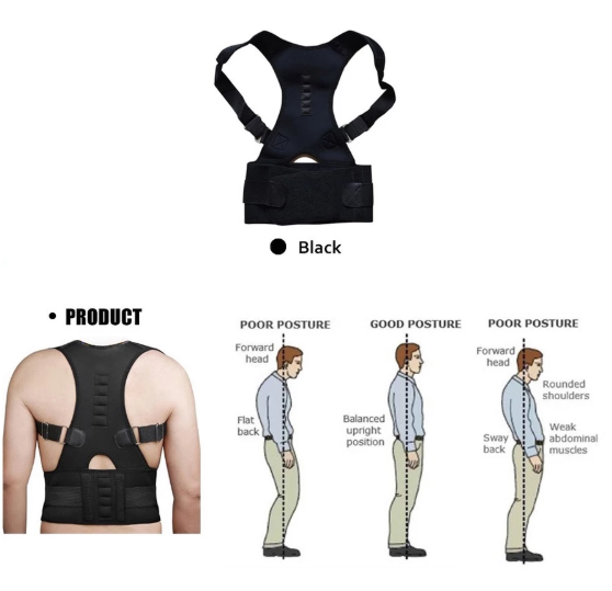 TaffSPORT Belt Magnetic  3