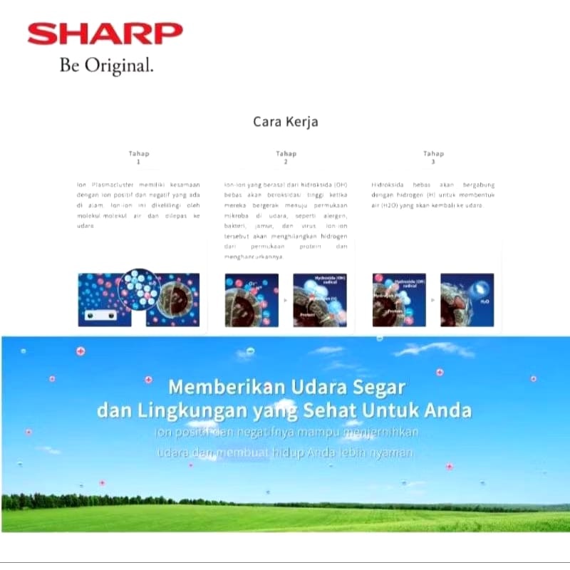 Air Purifier with Humidifying Function 5