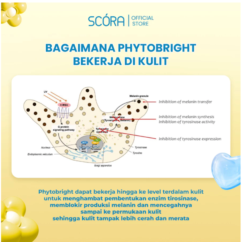 SCÓRA Phytobright Gentle Low pH Cleanser 5