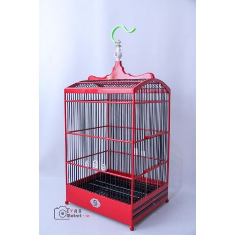 Ebod Jaya Sangkar Kotak 