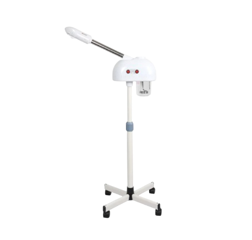 Steamer Facial 1