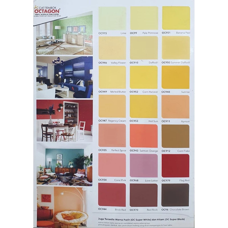 Boxer Paint Cat Tembok Octagon Gold Exterior 4