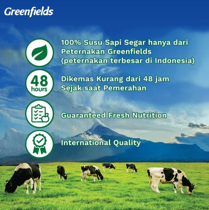Greenfields Indonesia Greenfields Yogurt Plain