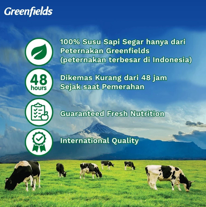 Greenfields Yogurt Plain 4