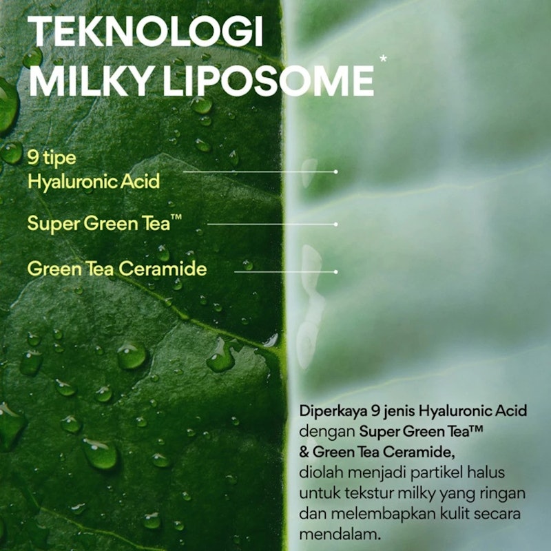 Green Tea Ceramide Milk Essence 4