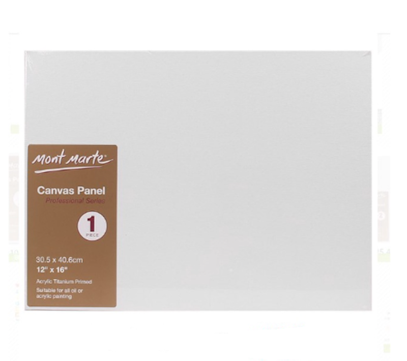 Canvas Panels Professional Series 1