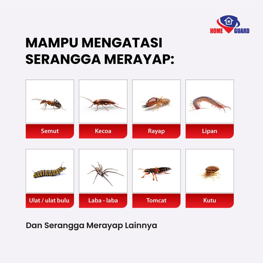 Mitra Alam Raya Home Guard Killer