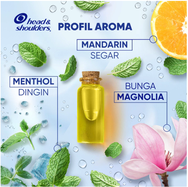 Procter & Gamble Head & Shoulders Shampo Anti Ketombe Menthol Dingin