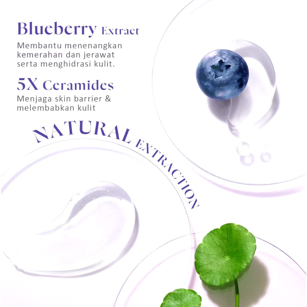  Glad2Glow Blueberry Ceramide Low pH Gel Cleanser 