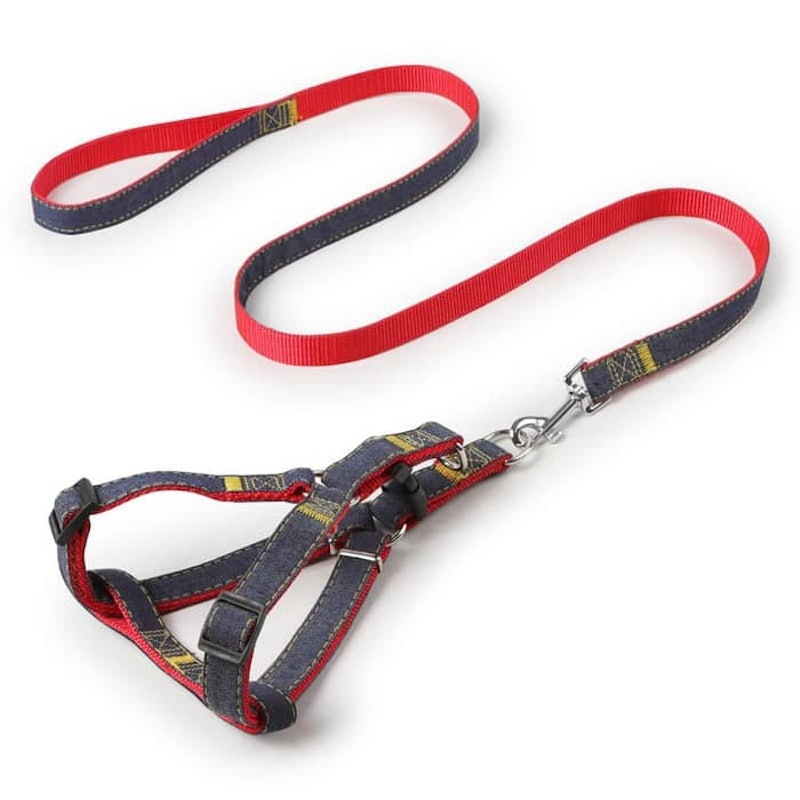 Dog Harness 1
