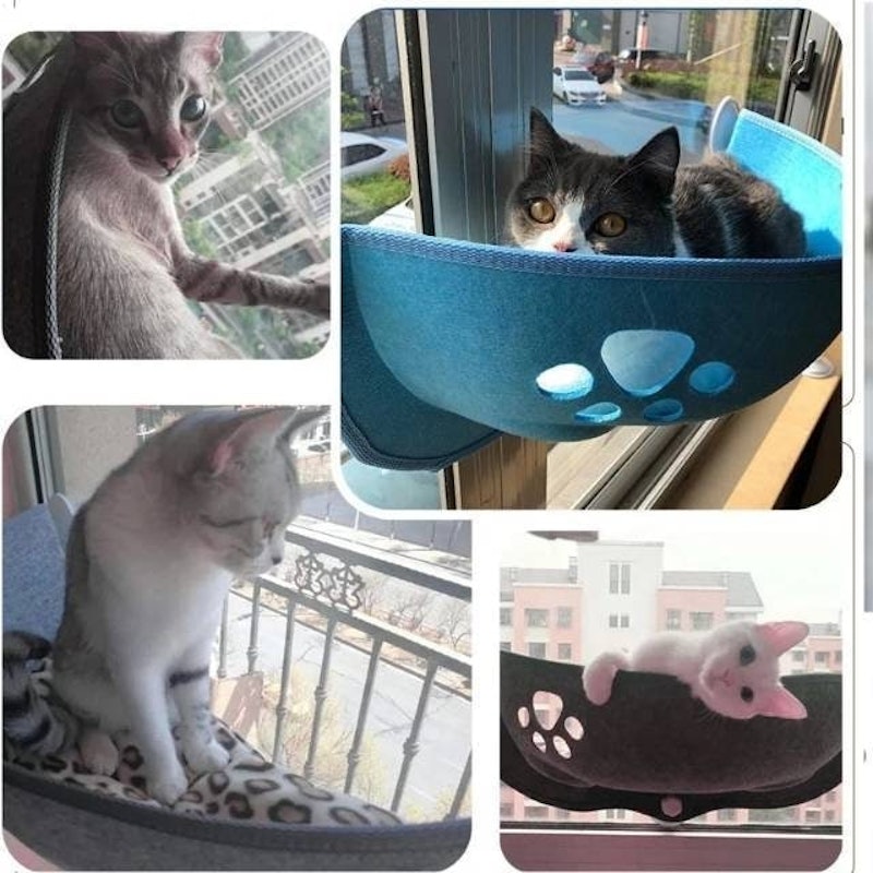 Cat Window Hammock 3