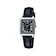 CASIO CASIO Analog 1