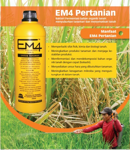 Songgo Langit Persada EM4 Pertanian