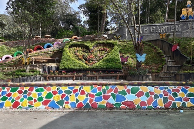 Taman Wisata Alam Tangkuban Perahu 3