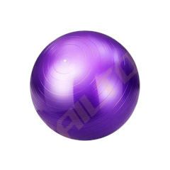 TRAILTOP Gym Ball