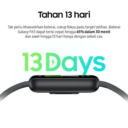 Samsung Electronics Samsung Galaxy Fit 3