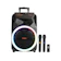 Advance Digitals Advance Speaker Bluetooth 12 Inch Free 2 Wireless Mic 1