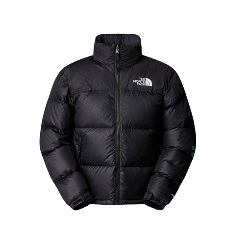 10 Rekomendasi Jaket The North Face untuk Pria Terbaik (Terbaru