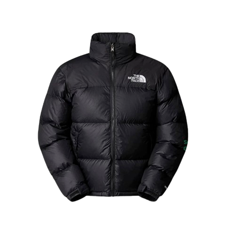 10 Rekomendasi Jaket The North Face untuk Pria Terbaik (Terbaru