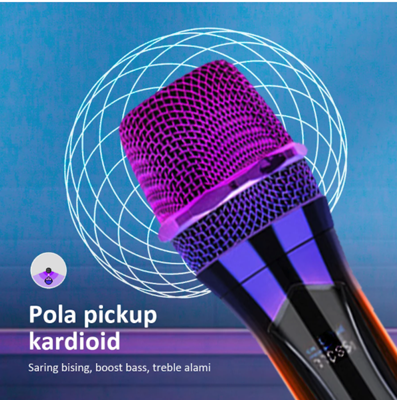 Soundscape Bonkyo Microphone 4
